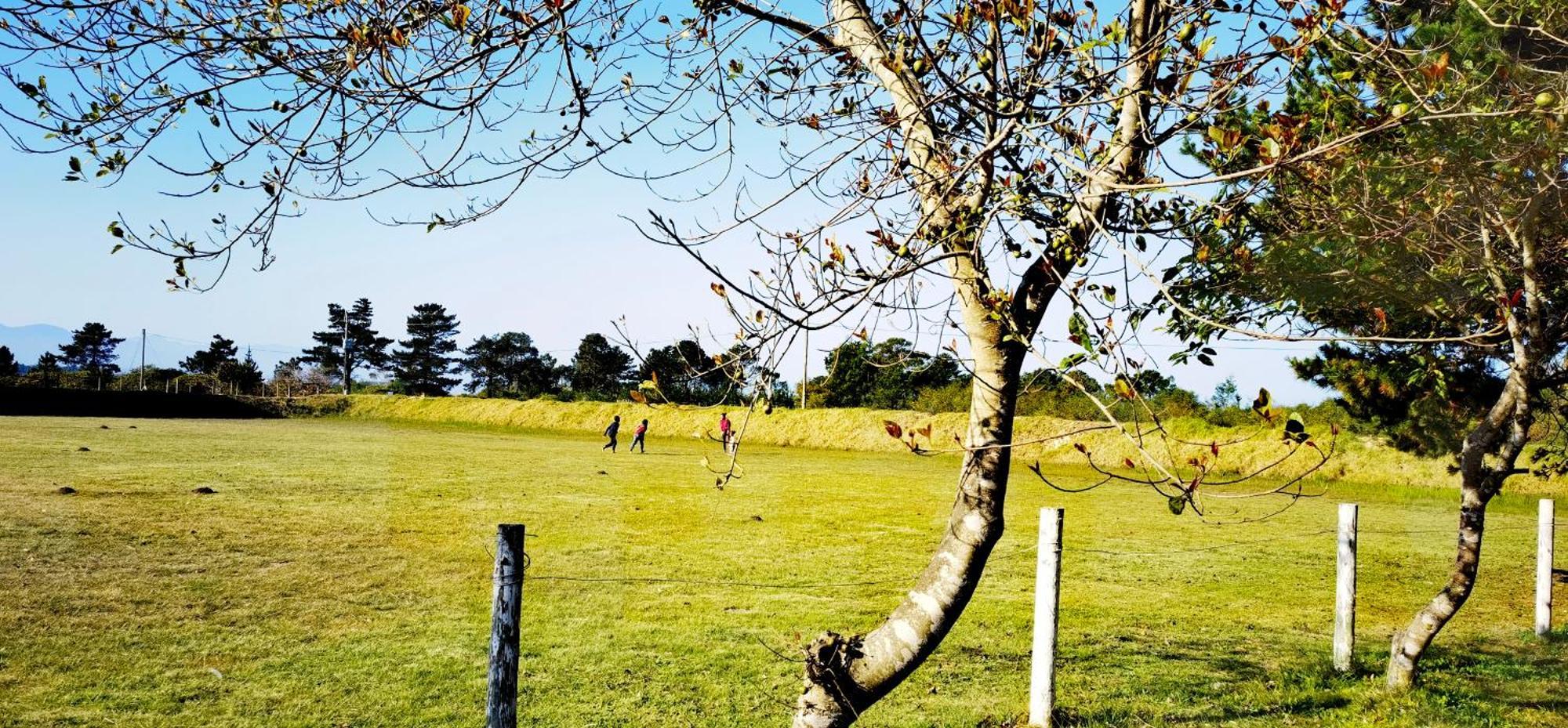 Moonsong Accommodation & Camping Plettenberg Bay Exterior foto